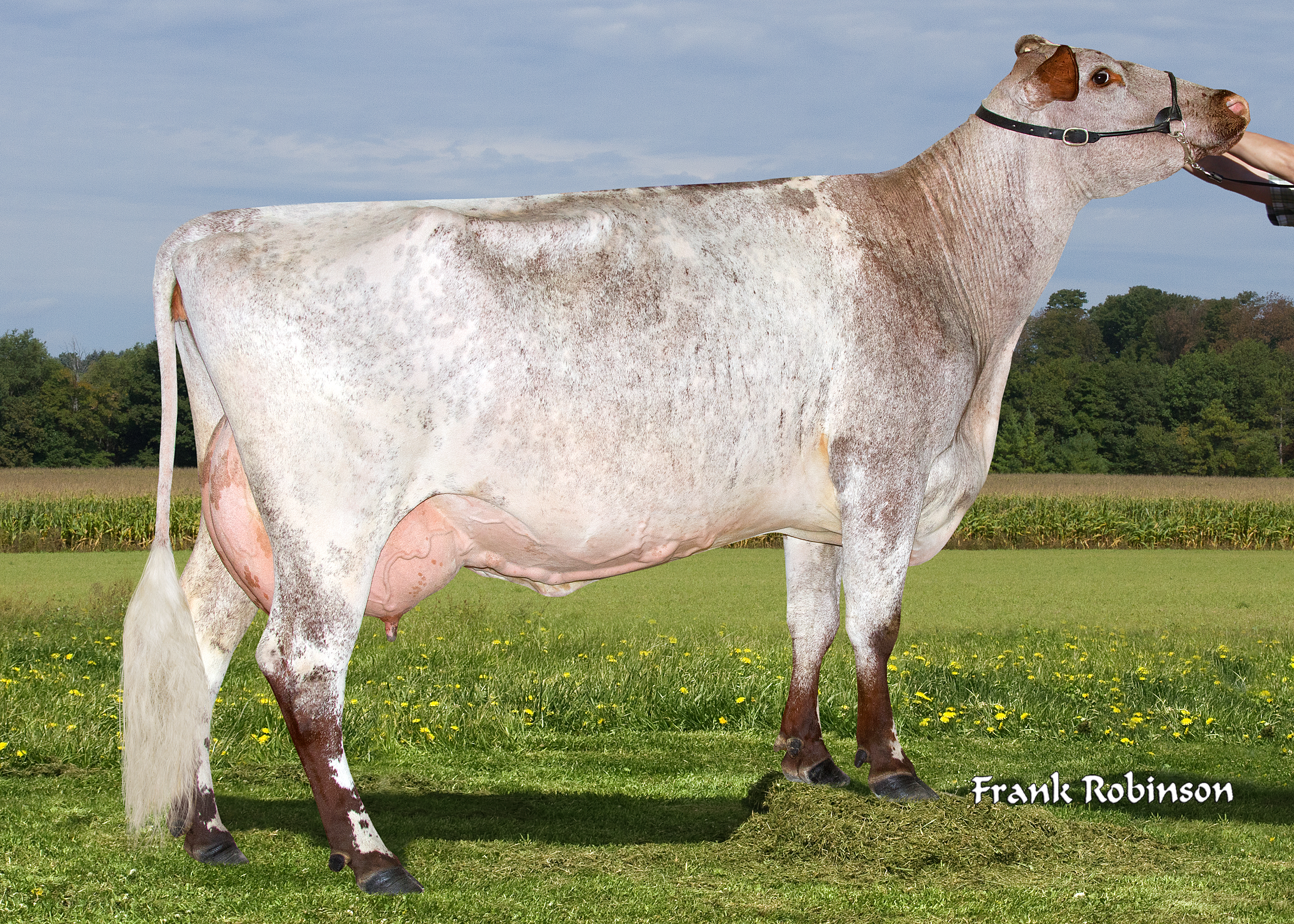 Lynmark Out Fleece EX-94-5E