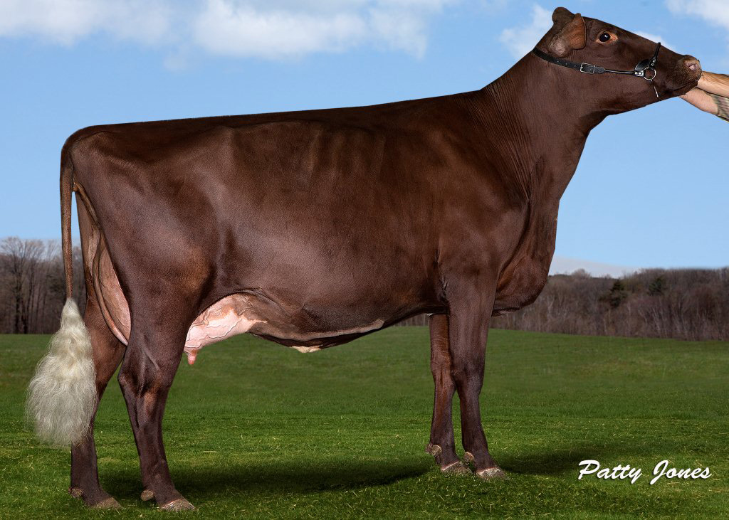 Prinsville CD's Stars VG-87