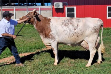 2025 Virtual Show Grand Champion